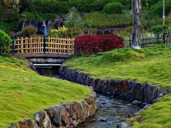 Koi Fish Ponds