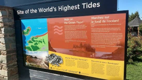 Explore Tidal Pools & Rock Formations