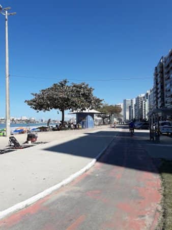 Boat Tours and Excursions