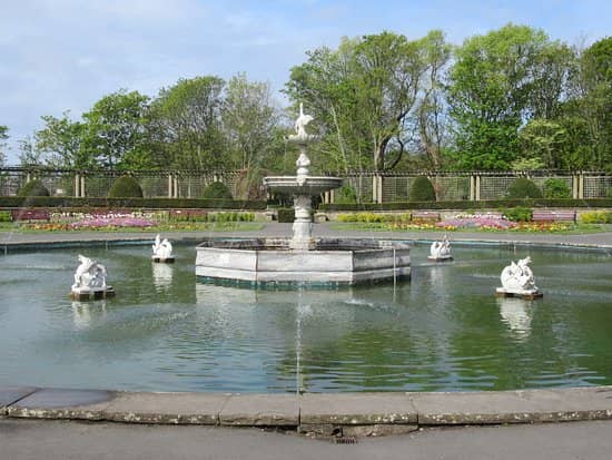 Feature Fountain & Gardens