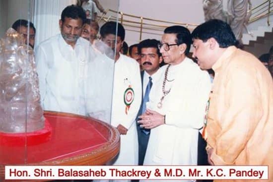 Dinosaur and Mammoth Fossils