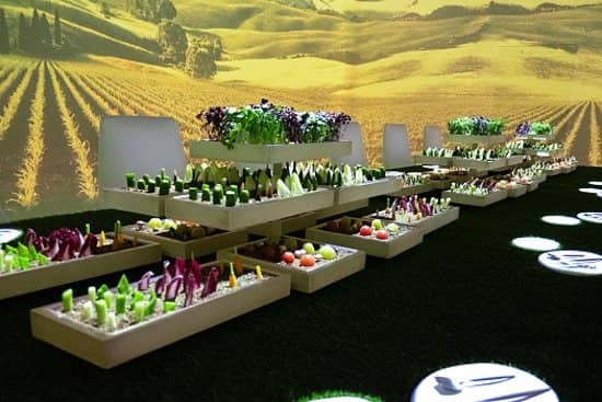 Cutting-Edge Culinary Art