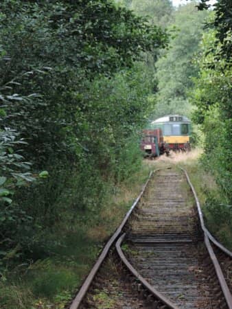 Heritage Diesel & Pacer Trains