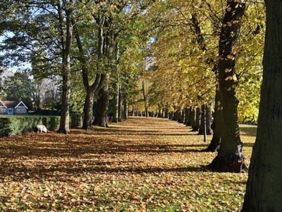 Children's Play Area