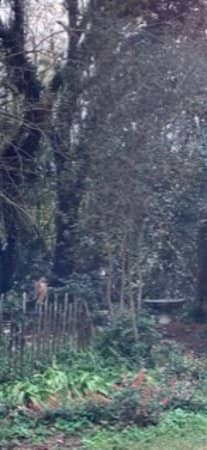 English-Style Cottage