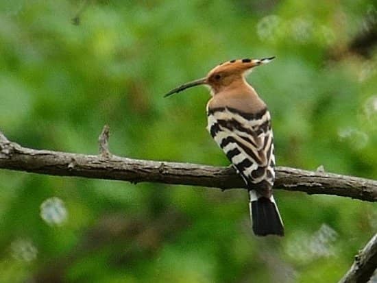 Family-Friendly Bays