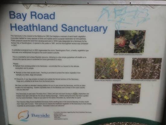 Diverse Heathland Flora