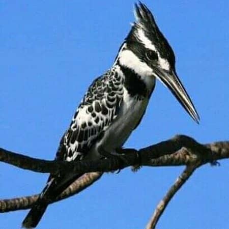 Canoe Ride Adventure