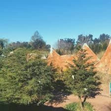 Los Yarumos Ecopark Views