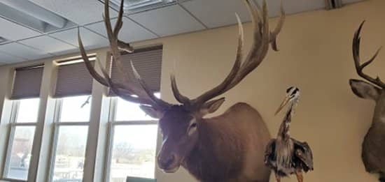 Paved Walking Trails