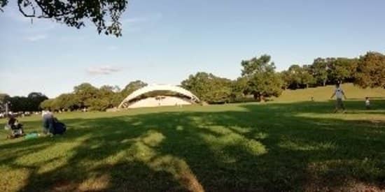 Expansive Green Lawns