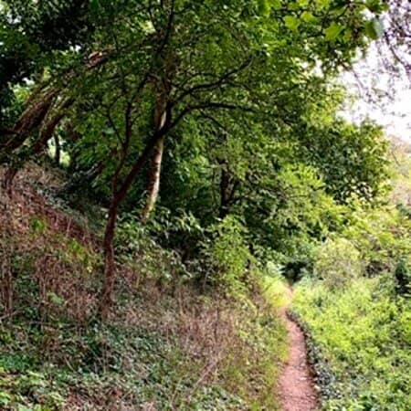 Bailey Earthworks