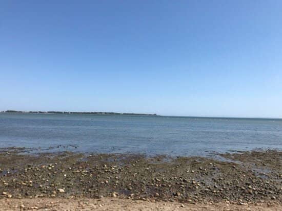 Picnic Areas with Grills