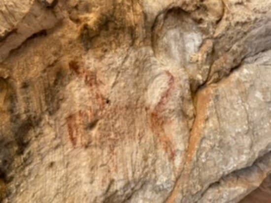 Cultural Performances