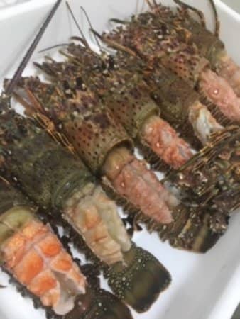 Lagosta