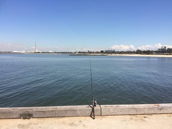 Coastal Boardwalk Views