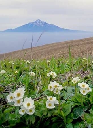 Sunrise/Sunset Spectacle