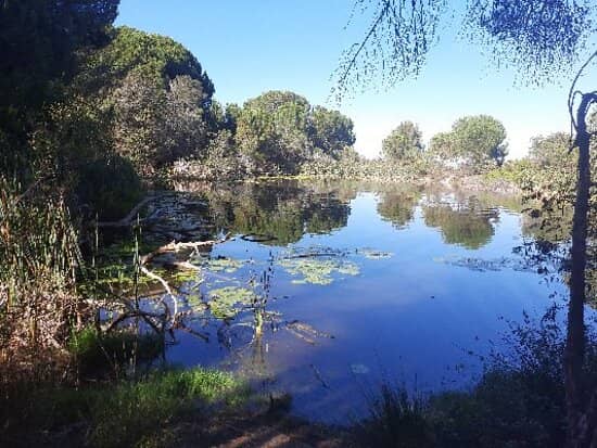 Mountain Biking Trails