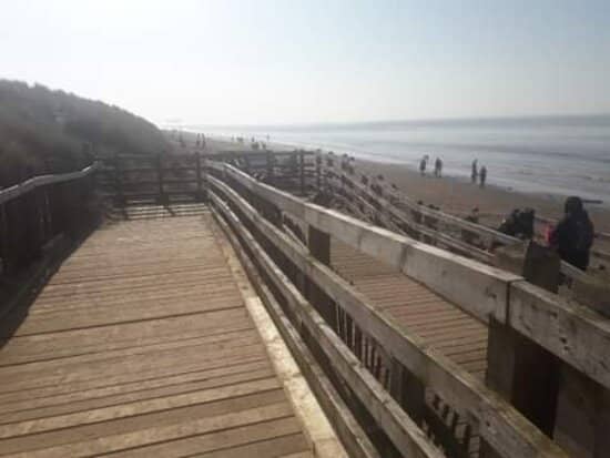 Coastal Forest Walks