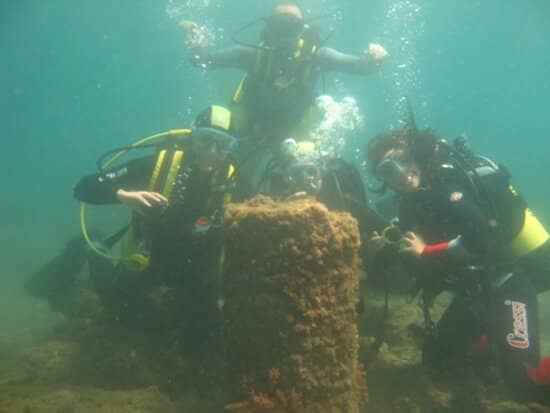 Marine Life Encounters