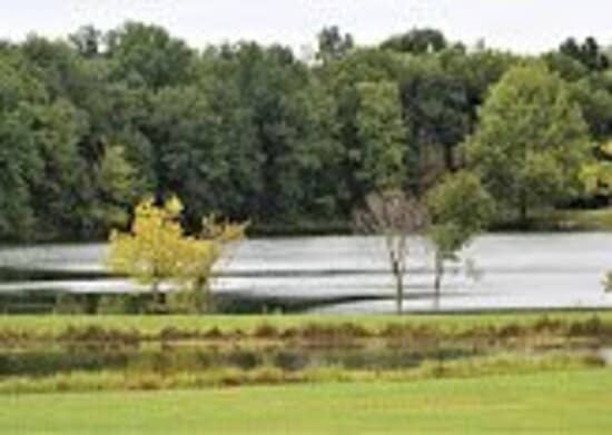 Sensory & Open Playgrounds