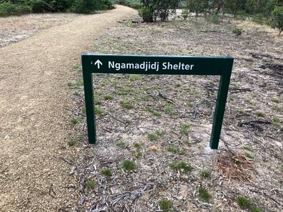 Bushland Loop Walk