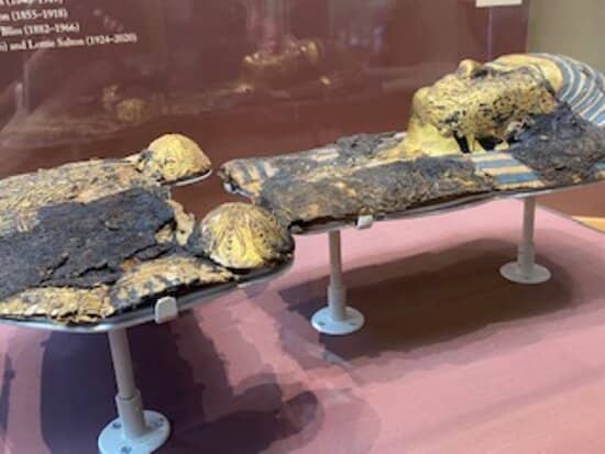 Maine Photography Collection