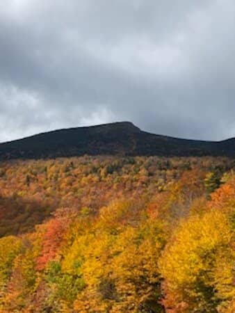 Family-Friendly Terrain