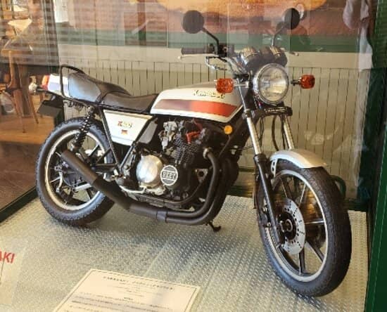 The Bayside Aquarium