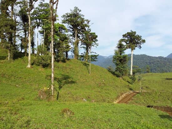 Turquesa Waterfall Adventure