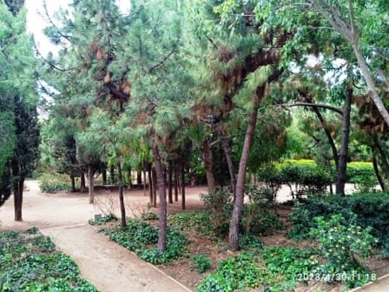 Children's Playgrounds
