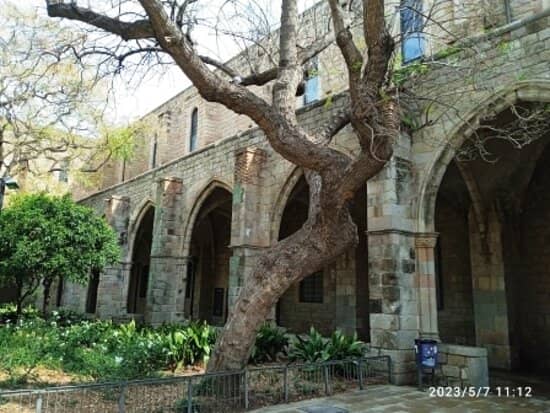 Gaudí's Lasting Impression