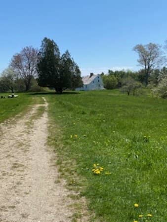 Point Trail Walk