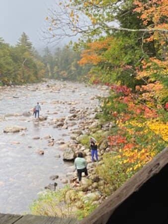 Scenic Swift River Views
