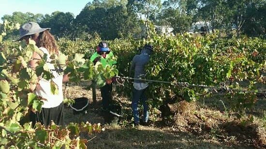 Historic Cellar Door