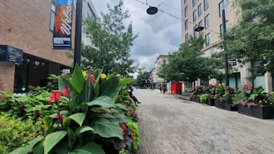 William Jane Dispensary