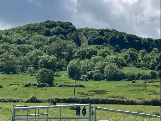 Unofficial Races & Viral Moments