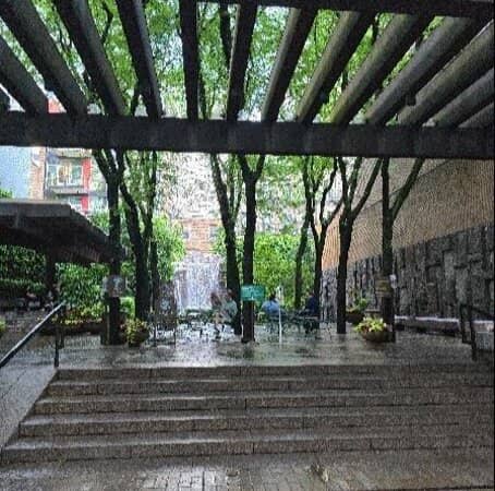 Lush Greenery & Landscaping