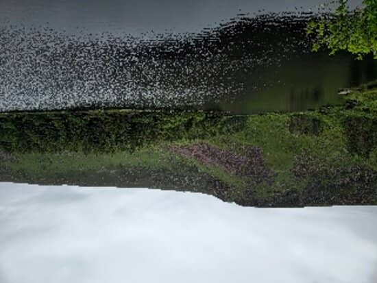 Potential Waterfall Views