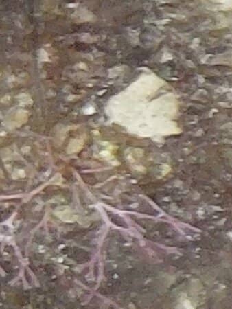 Natural Rock Ledges