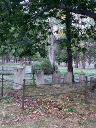 Expansive Green Spaces