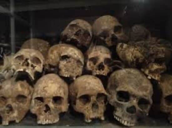 Personalized Guided Tours