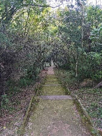 Picnic & BBQ Spots