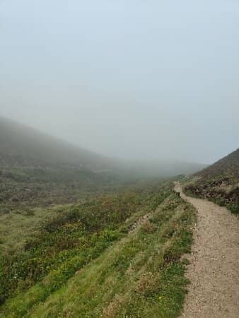 Coastal Path Views