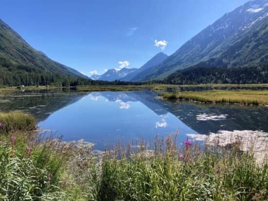 Alaska Wildlife Conservation Center