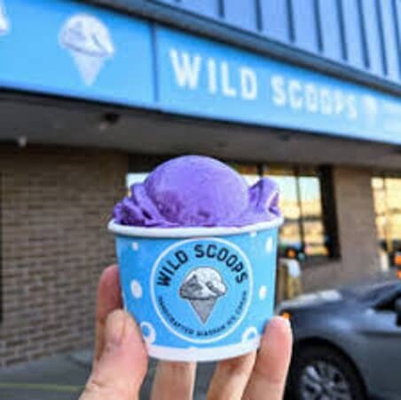 The Viral Baked Alaska Cone