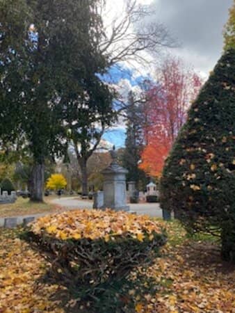 Gazebos and Scenic Spots