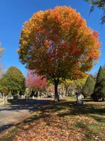 Historic Headstones & Iron Gates