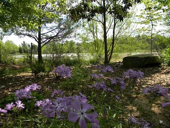 Shady Garden Paths
