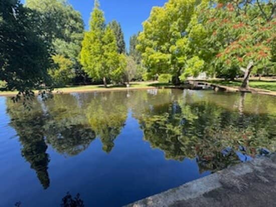 Picturesque Gardens